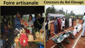 Foire artisanale et concours du bel élevage